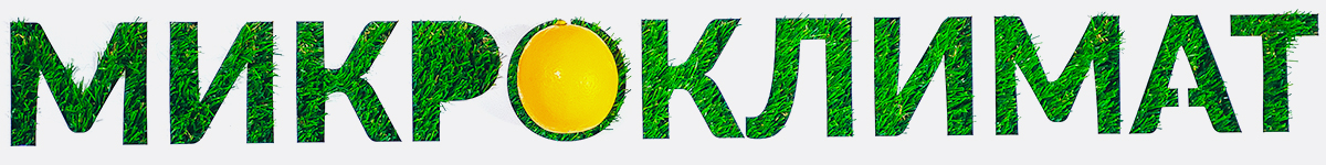 Микроклимат